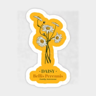 Daisy Sticker